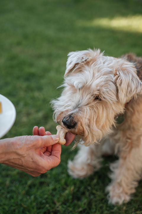 Treats
