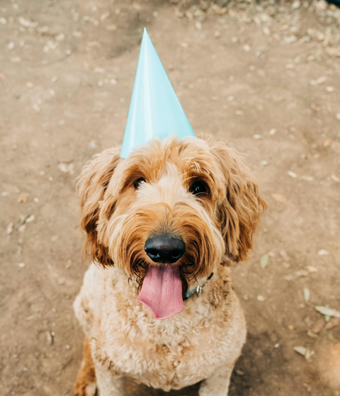 Birthday