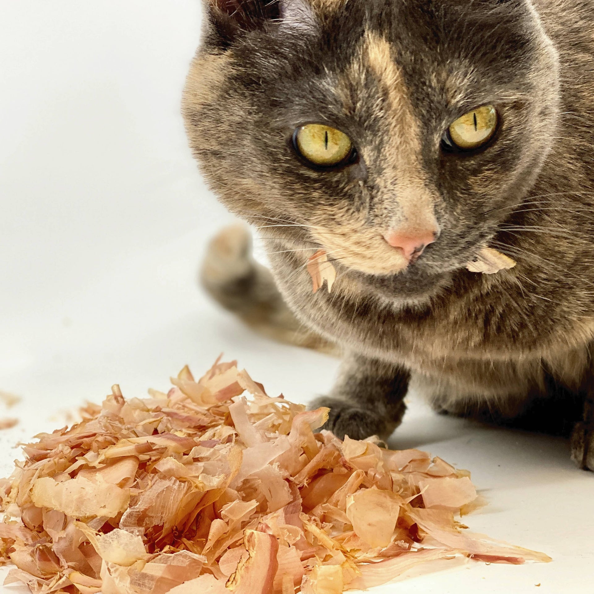 Presidio Pet | Cat Sushi Bonito Flakes