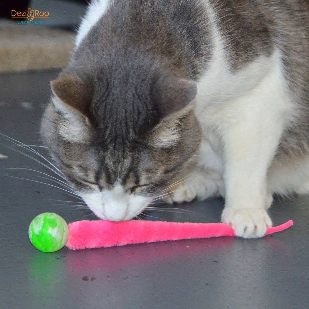 Dezi & Roo | Wiggly Ball