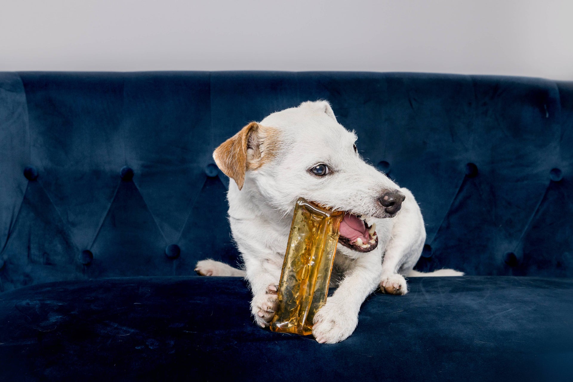 Mighty Marrows Dental Chew | Pork & Parsley