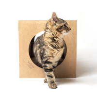 Dezi & Roo | Hide and Sneak Tunnel