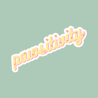 Pawsitivity Sticker