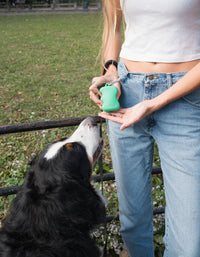 Springer Pets | Silicone Treat Pouch | Green