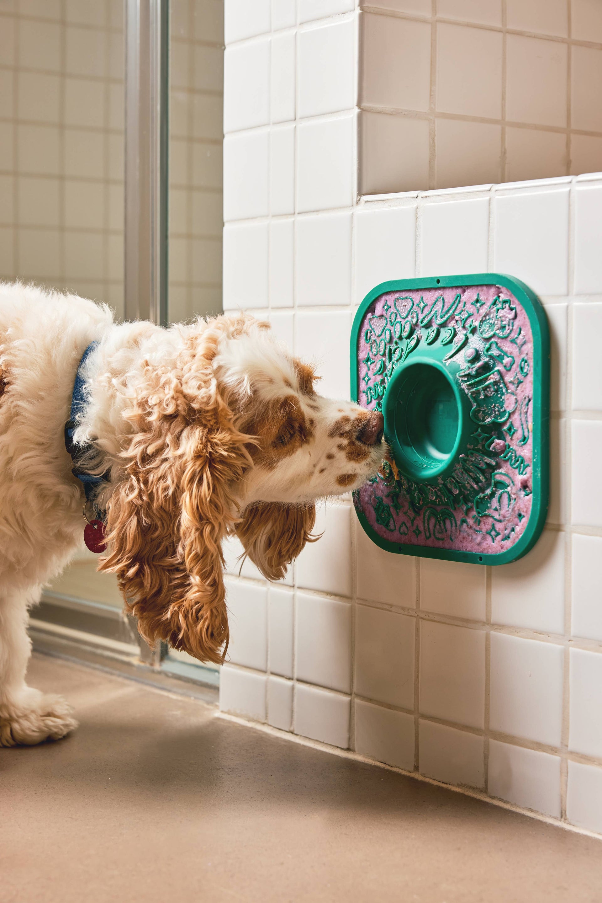 Woof | LickMat