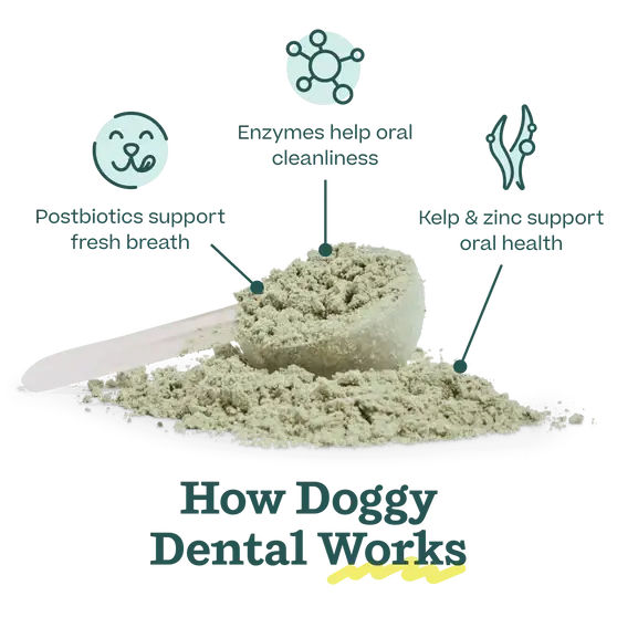 Woof | Pupsicle Mix | Doggy Dental