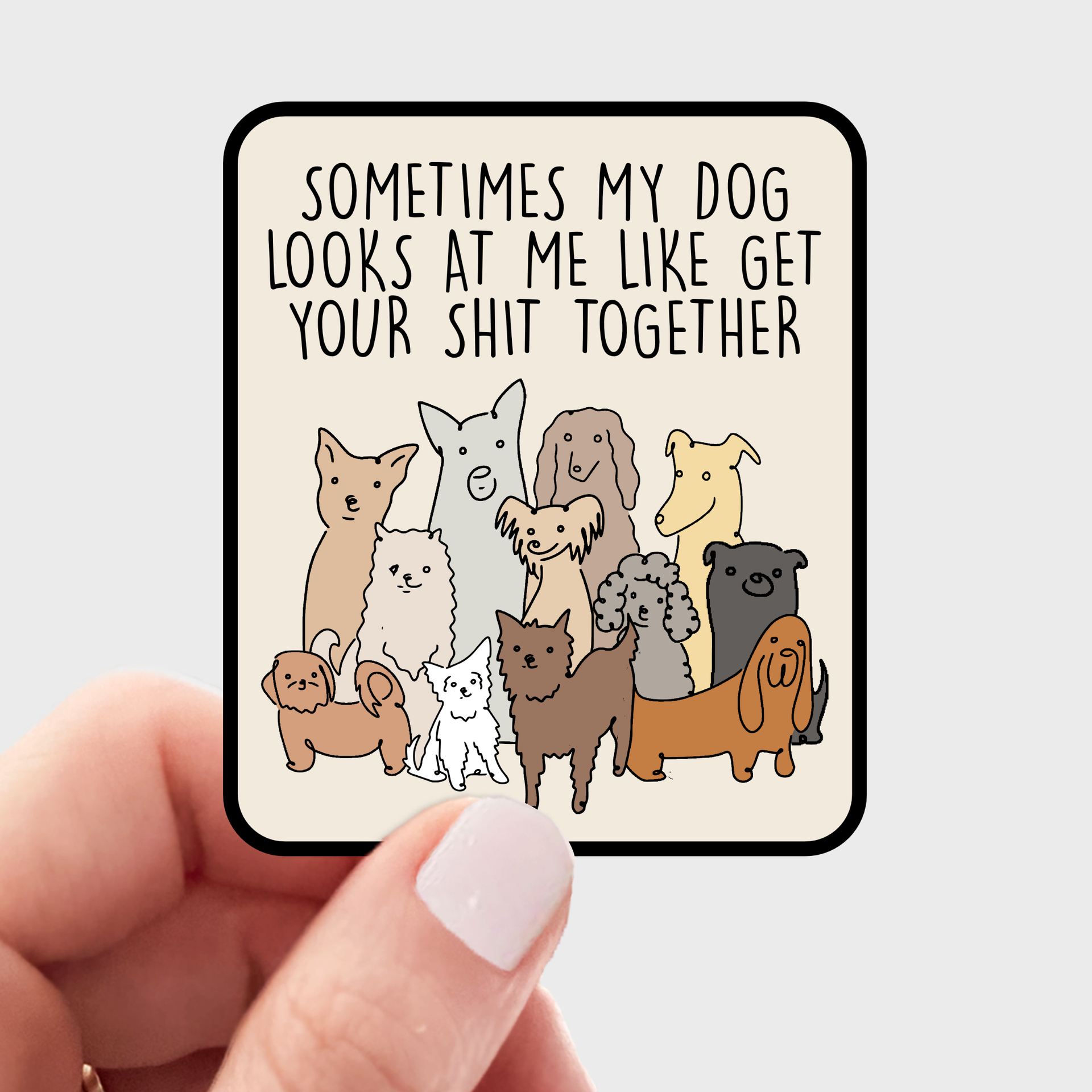 Sometimes My Dog Looks at Me Sticker