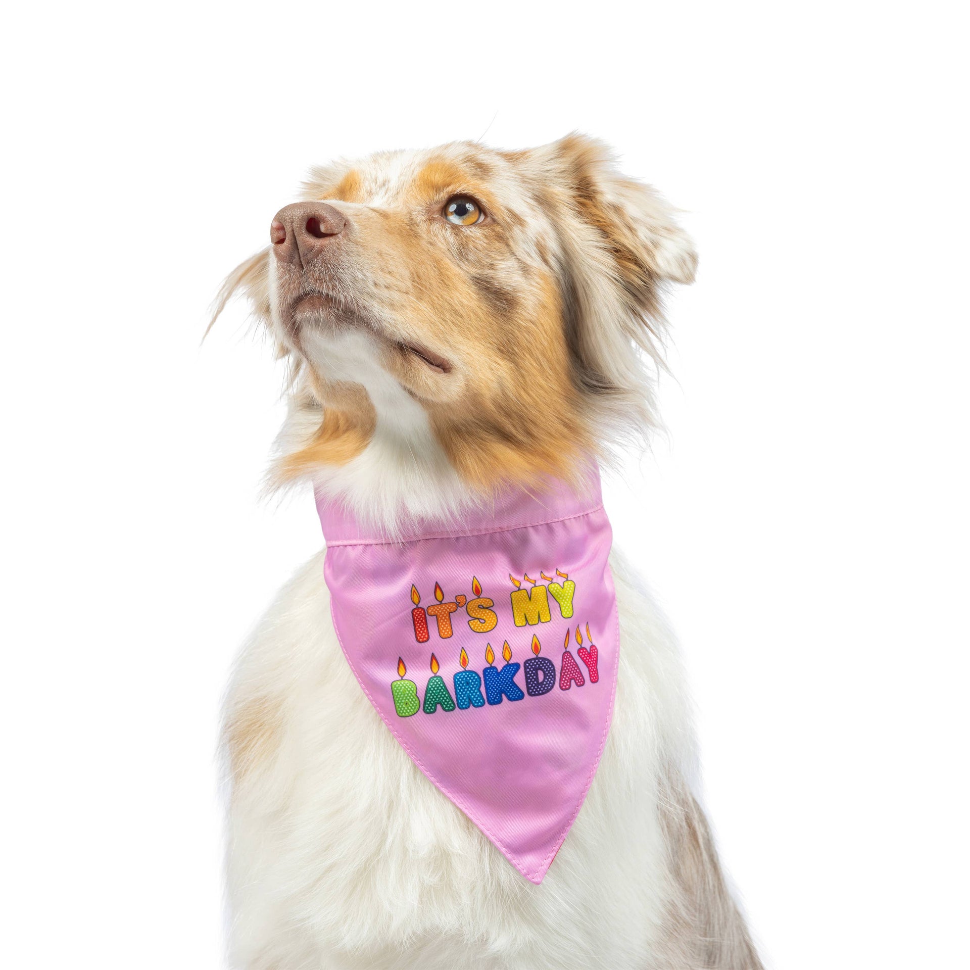 Party Time Pink Bandana