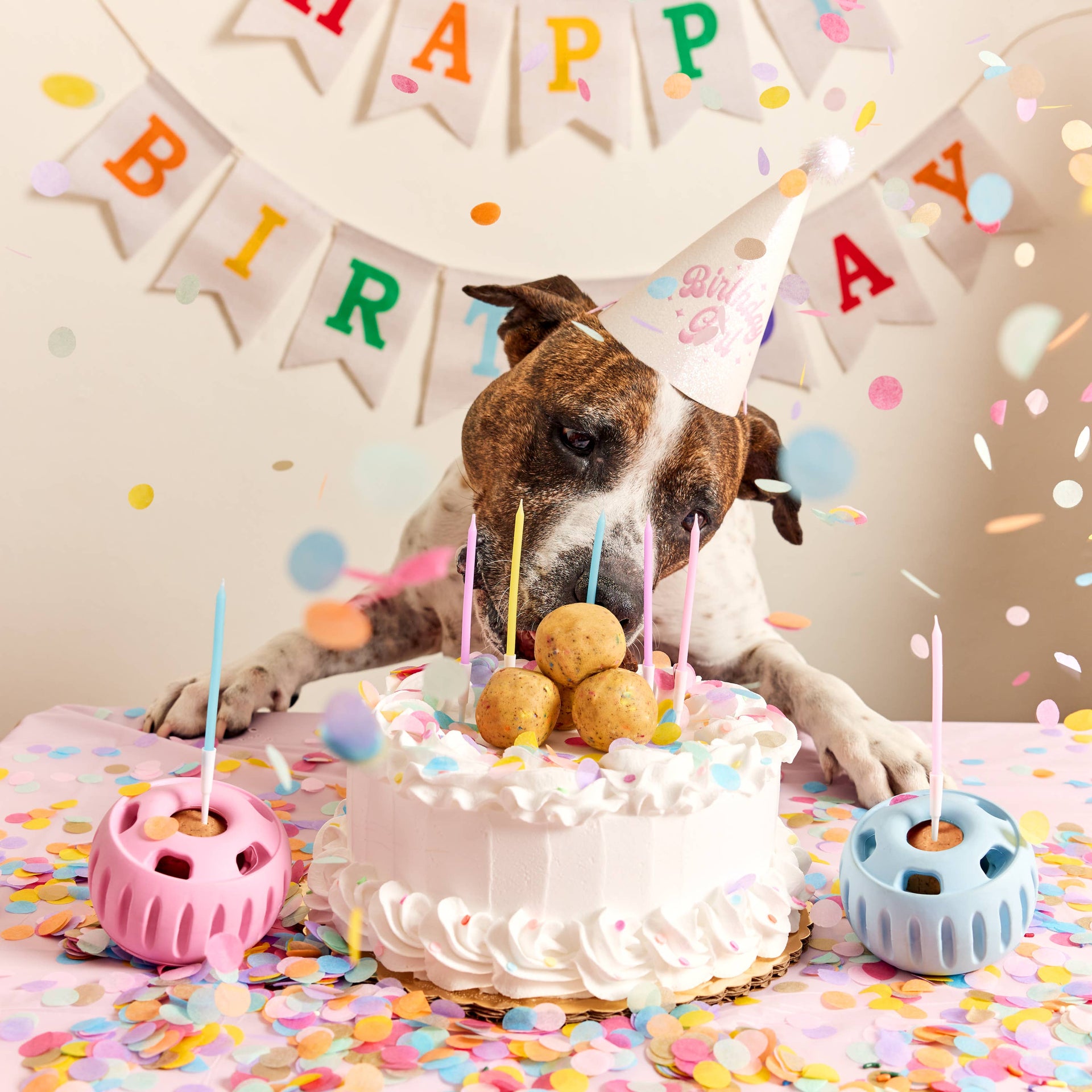 Woof | The Party Pupsicle