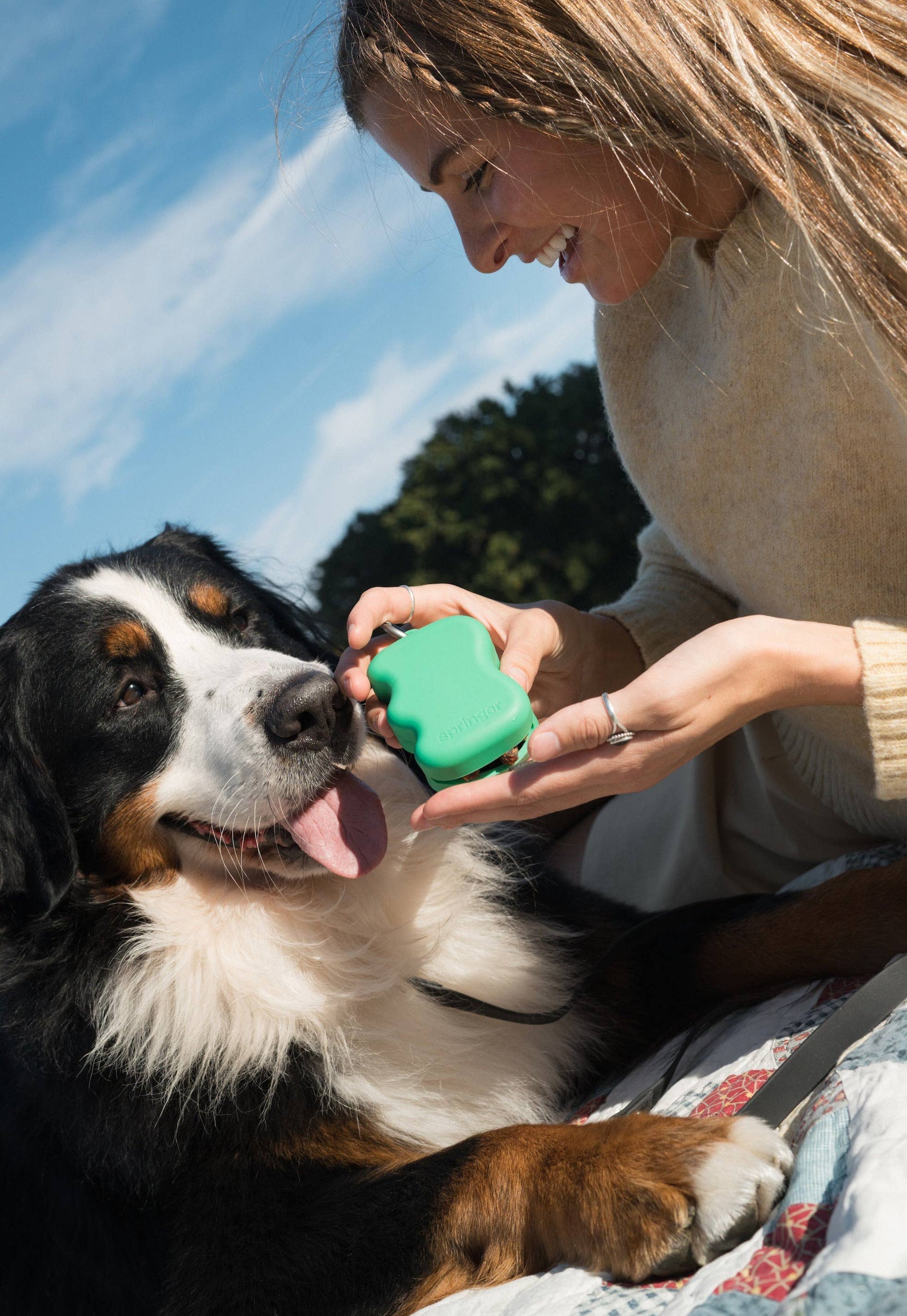 Springer Pets | Silicone Treat Pouch | Green
