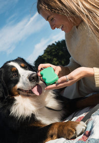 Springer Pets | Silicone Treat Pouch | Green