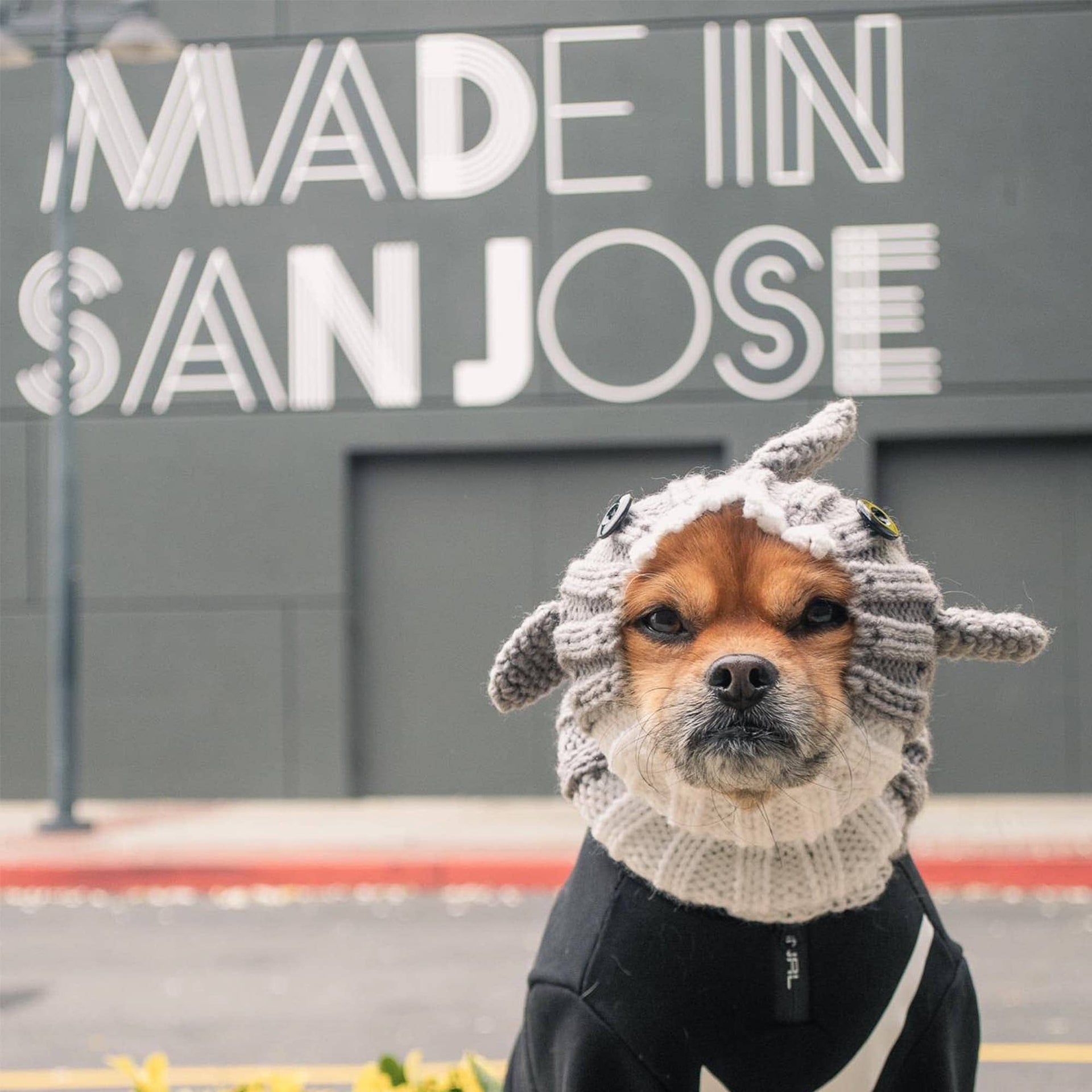 Great White Shark Dog Snood