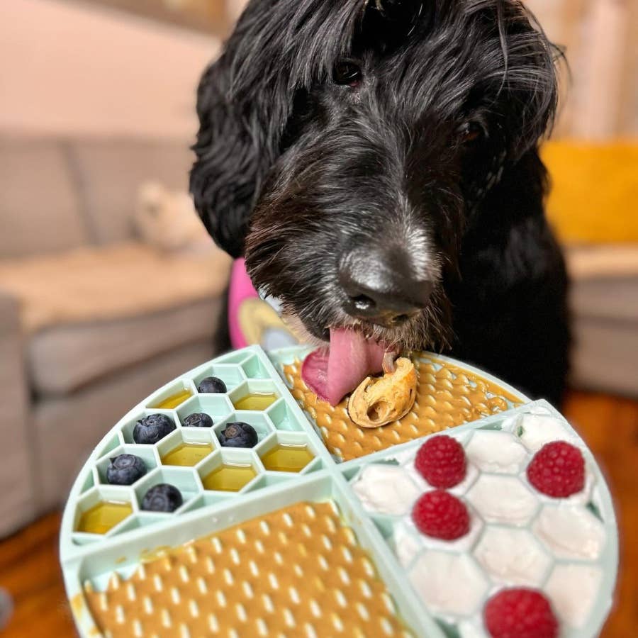 Bark Bistro | Buddy Budder | Beef Broth