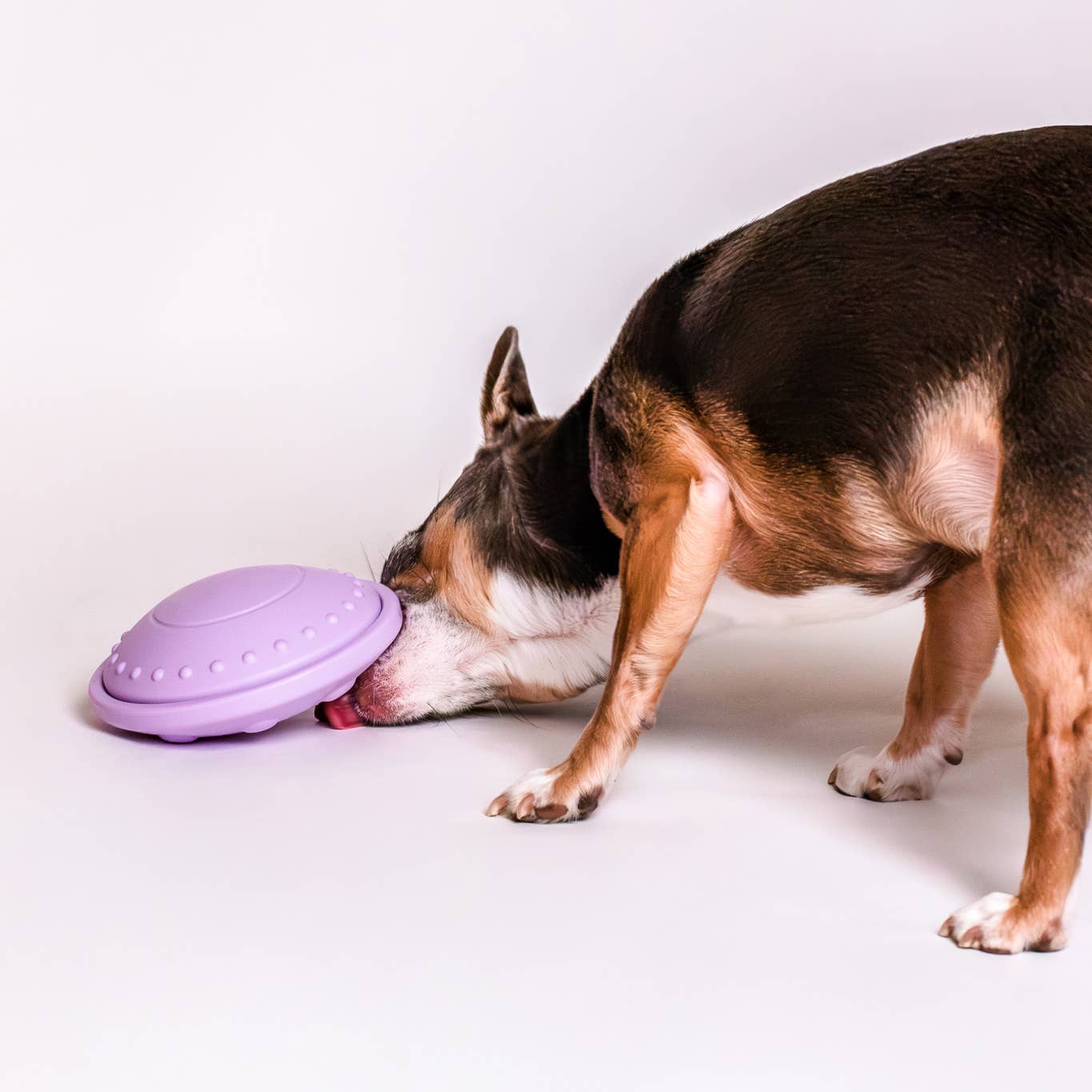 Awoo | Puzzle | Flying Saucer