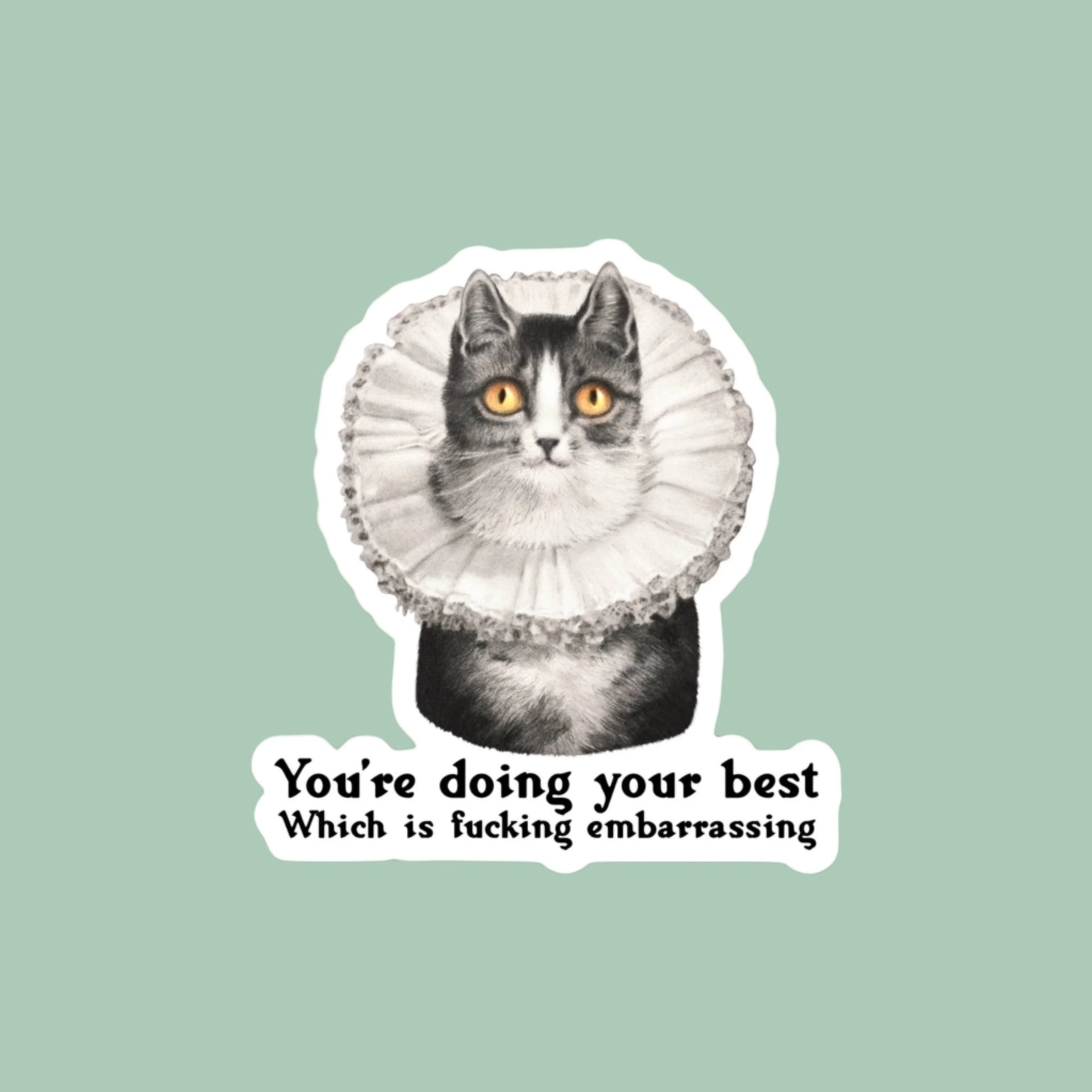 Cat sticker with text 'You're doing your best Which is fucking embarrassing' on a brown background