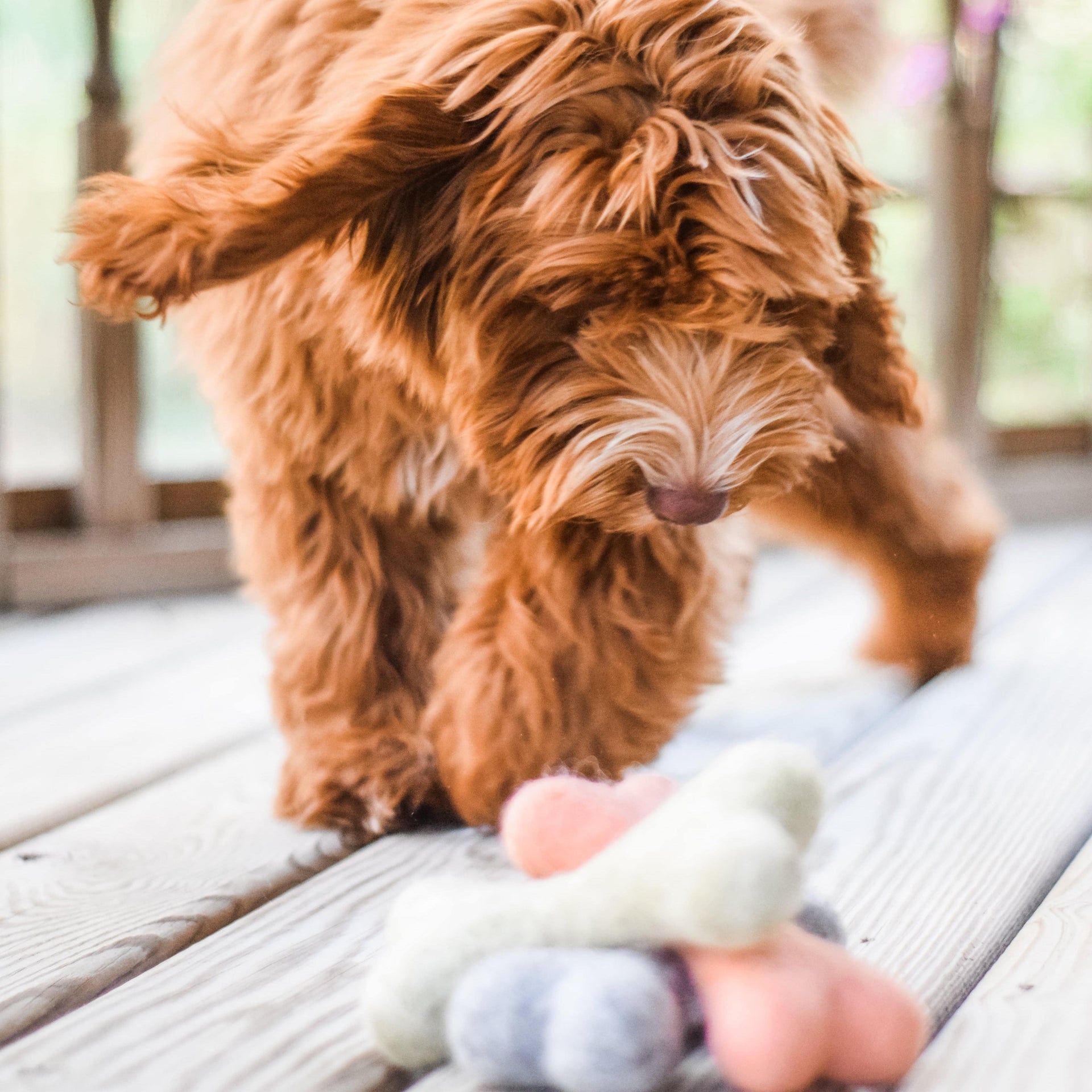 Awoo | Wool Bone | Aqua