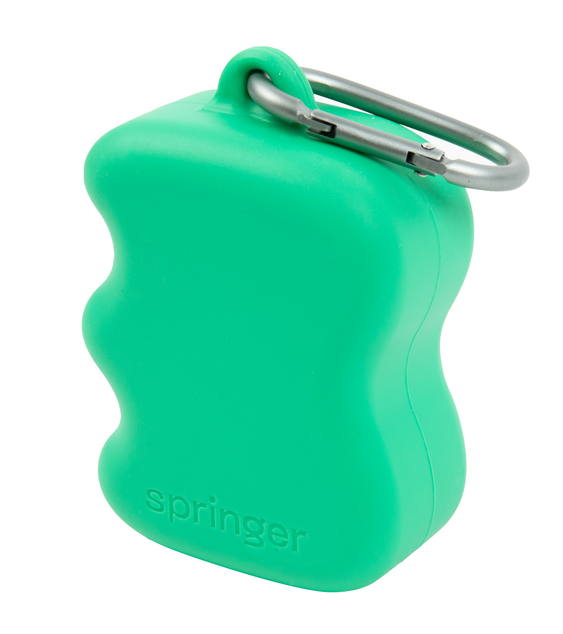Springer Pets | Silicone Treat Pouch | Green