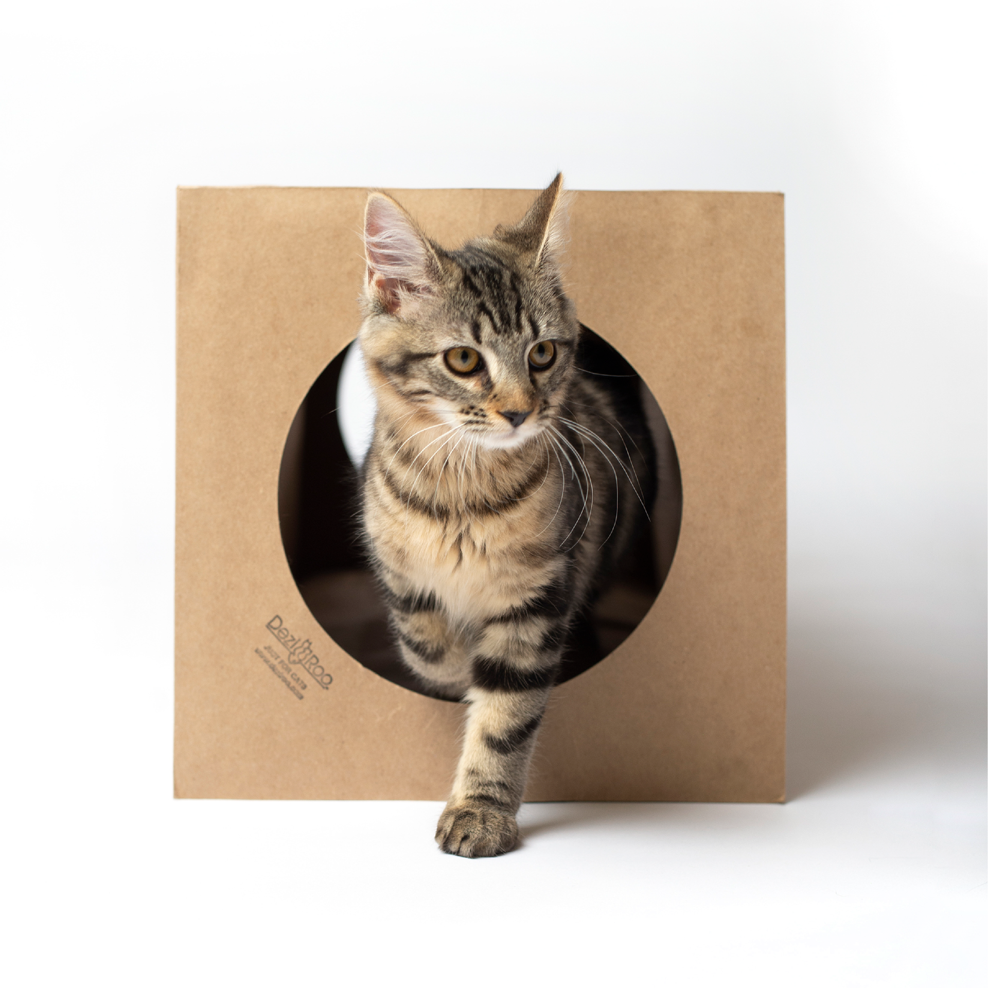 Dezi & Roo | Hide and Sneak Tunnel