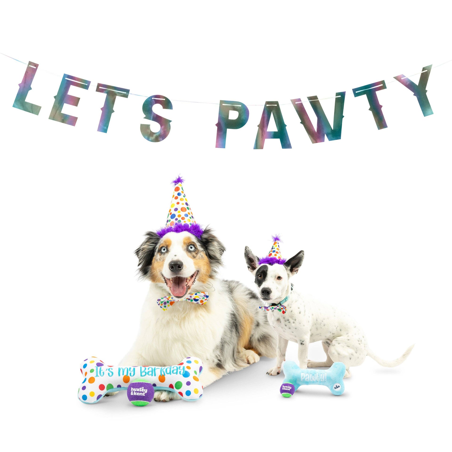 Let's Pawty Iridescent Celebration Banner