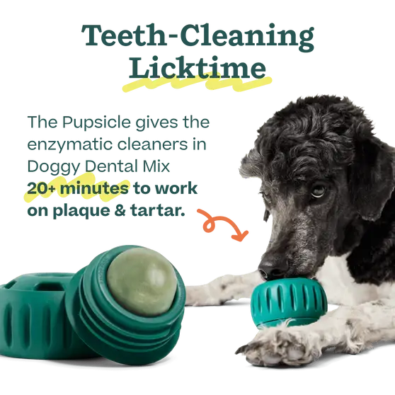 Woof | Pupsicle Mix | Doggy Dental