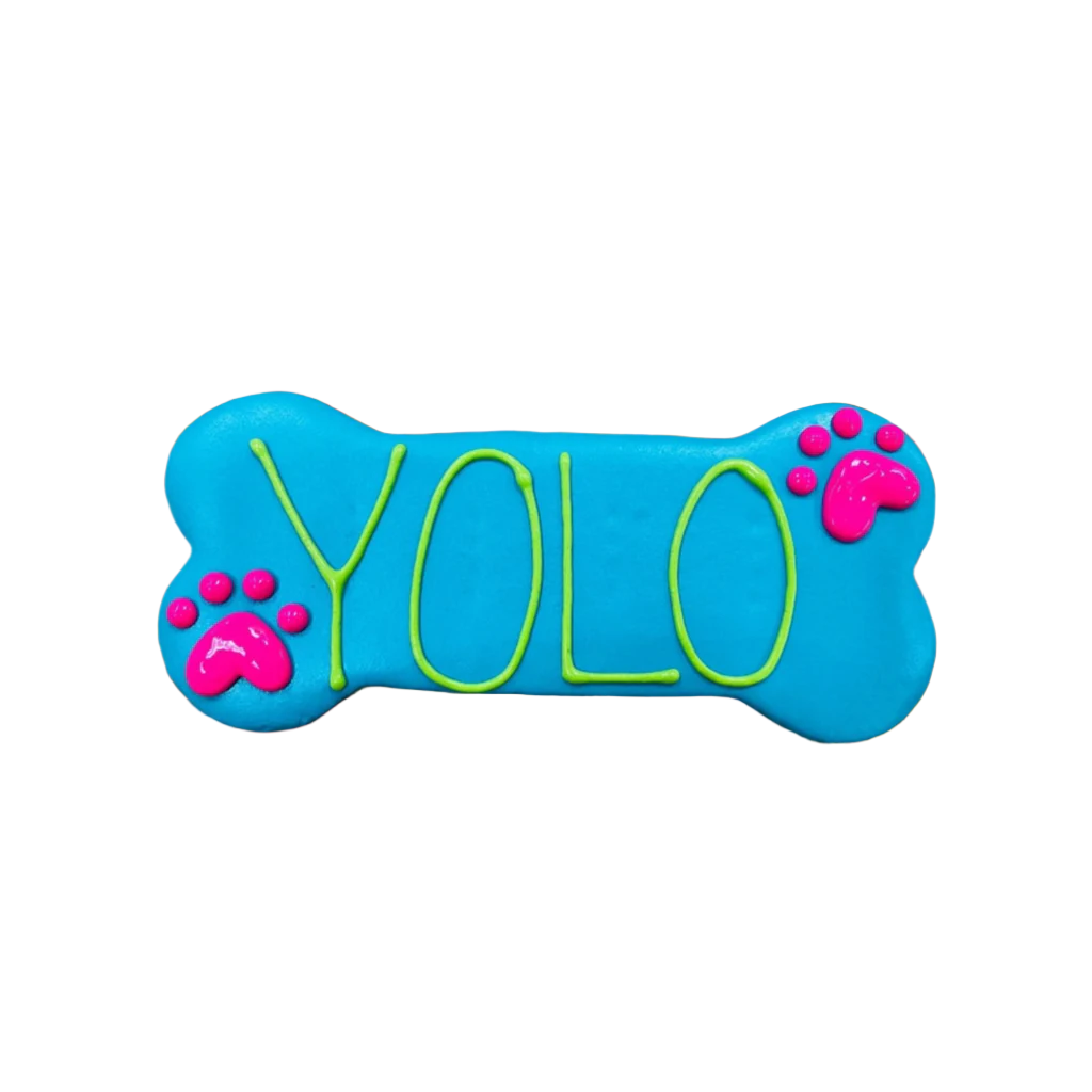 Fetch! Treats | 6" Dog Cookie | YOLO (colors vary)