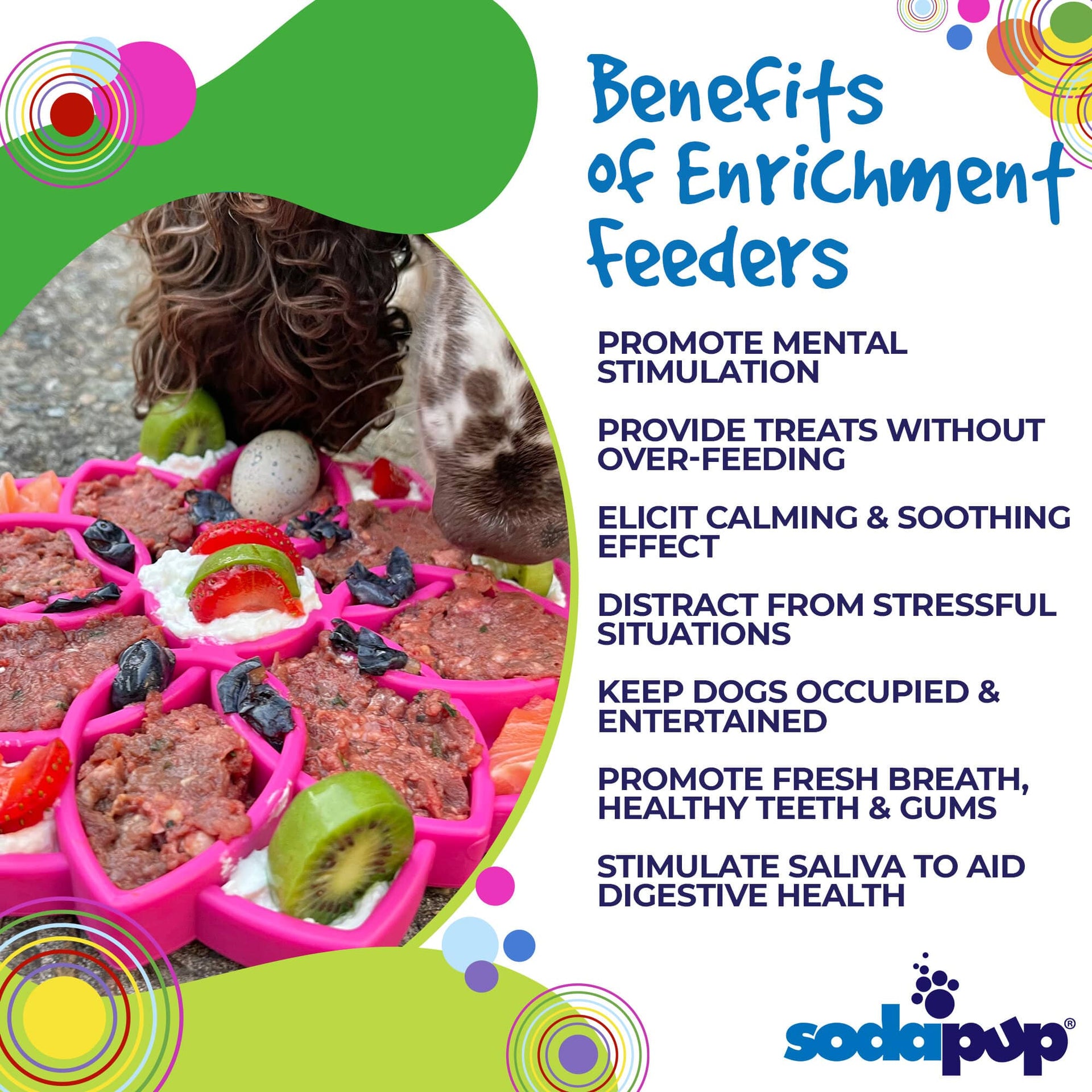 SodaPup - Mandala Design eTray Enrichment Tray for Dogs