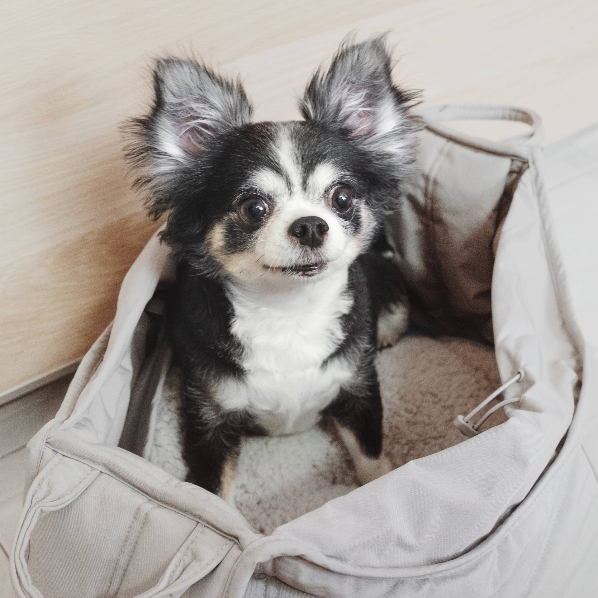Lambwolf | OLLA | Petite Pet Carrier