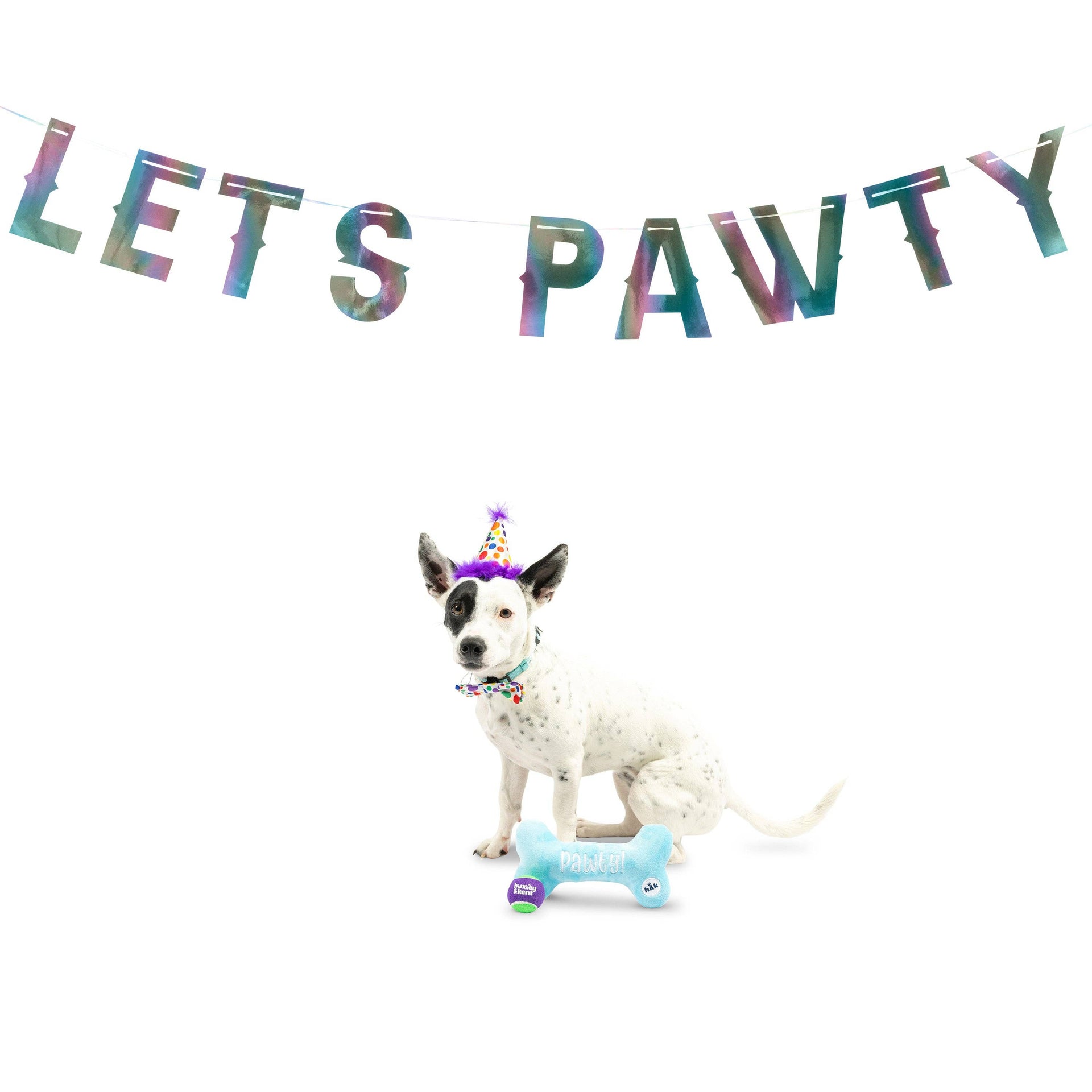 Let's Pawty Iridescent Celebration Banner