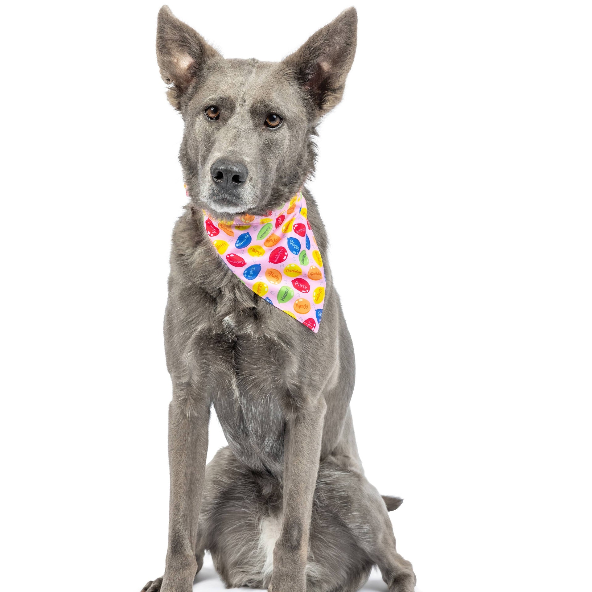 Party Time Pink Bandana