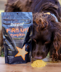 DYD | Firm Up! | Pumpkin Supplement