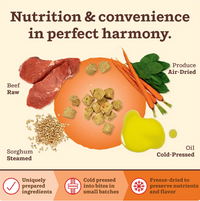 Primal Kibble in the Raw Beef