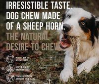 CANOPHERA | Sheep Horn Dog Chew