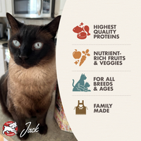 Fromm | Cat | Surf & Turf 5lb
