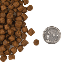 Fromm | Cat | Surf & Turf 5lb