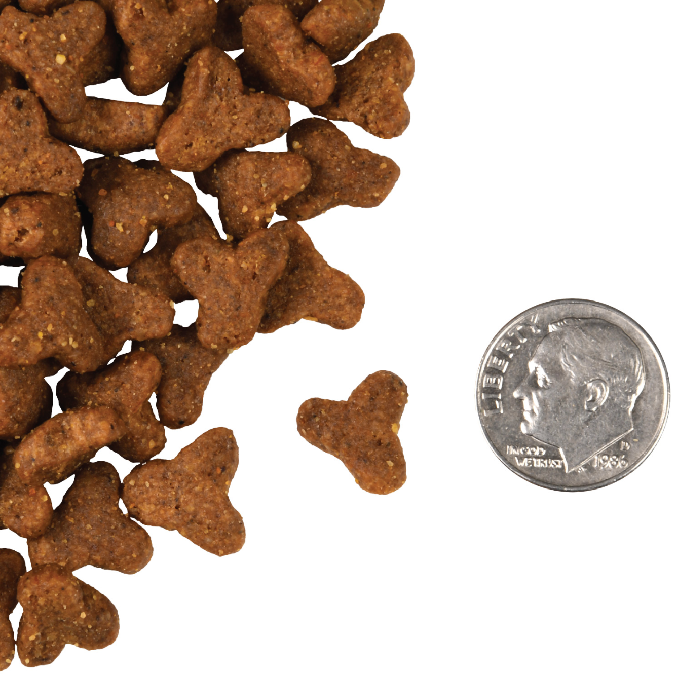 Fromm | Cat | Game Bird 5lb