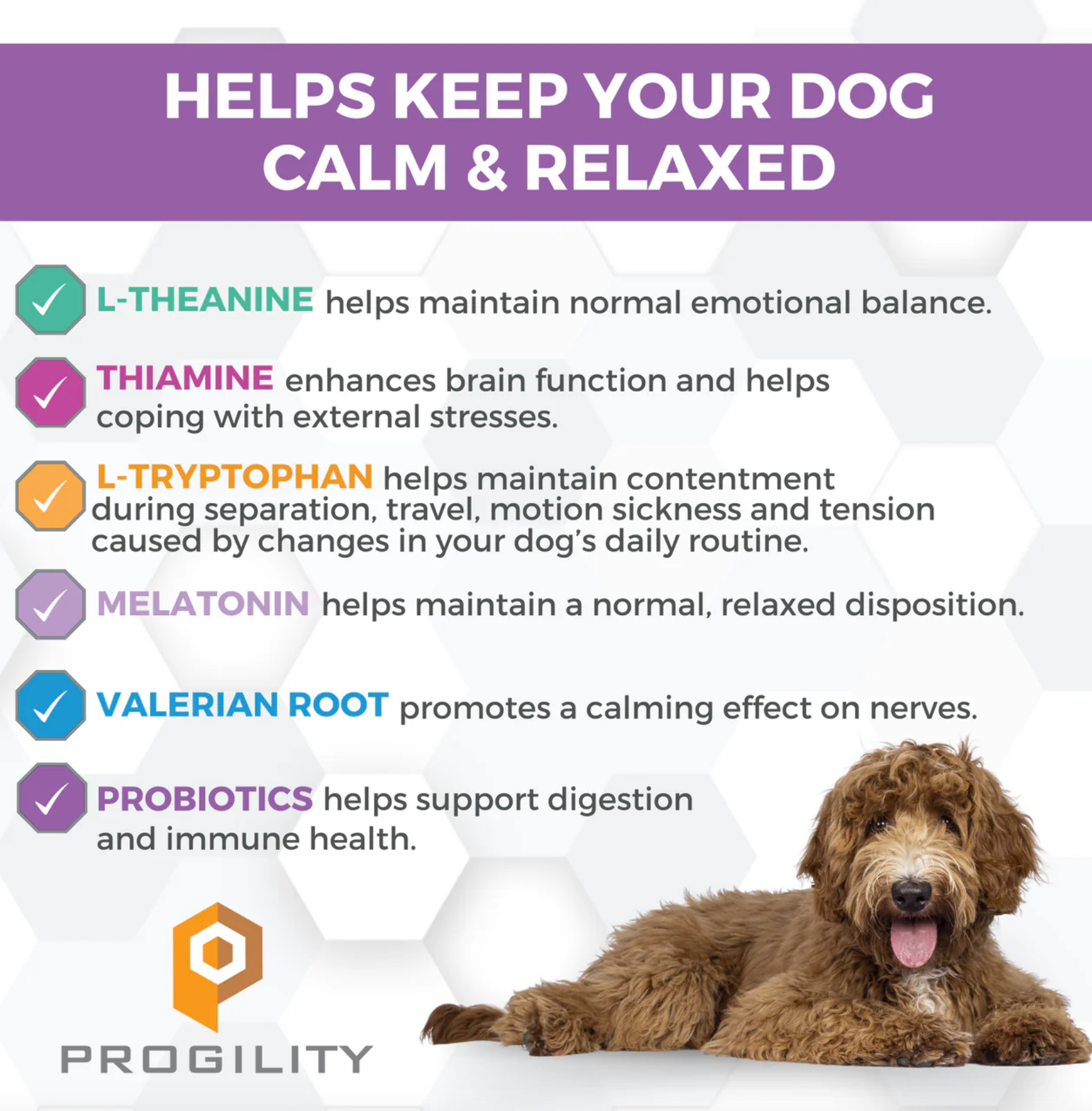 Nootie | Progility | Calming Soft Chew 90ct