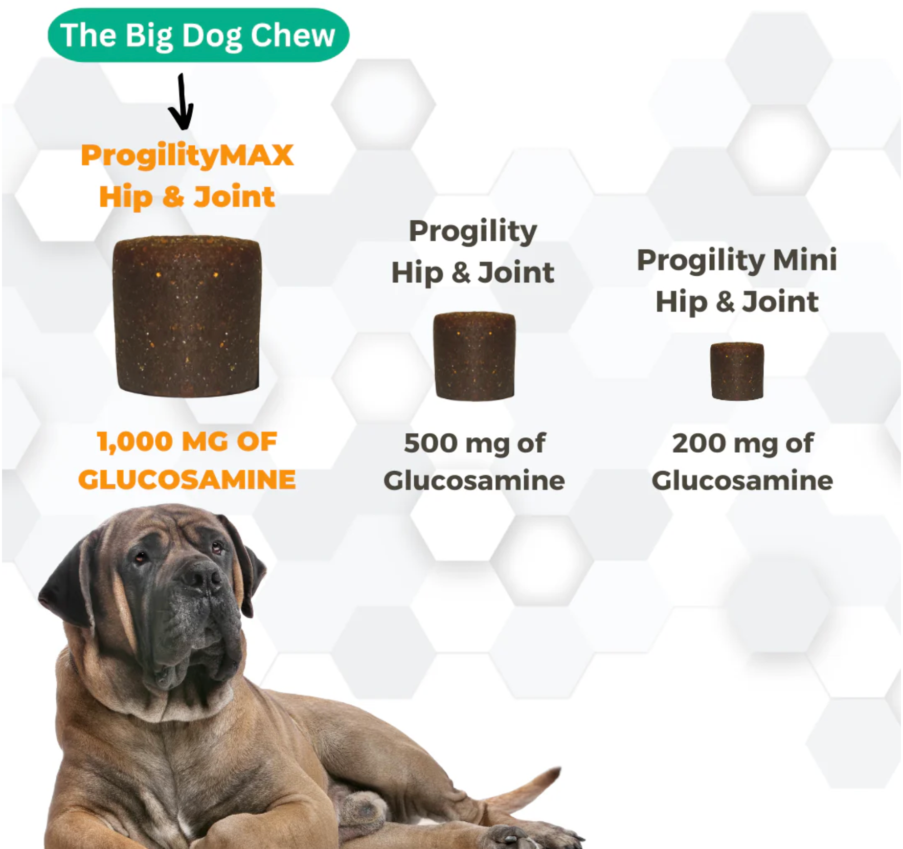 Nootie | Progility | MAX Hip & Joint Soft Chew 60ct