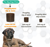 Nootie | Progility | MAX Hip & Joint Soft Chew 60ct