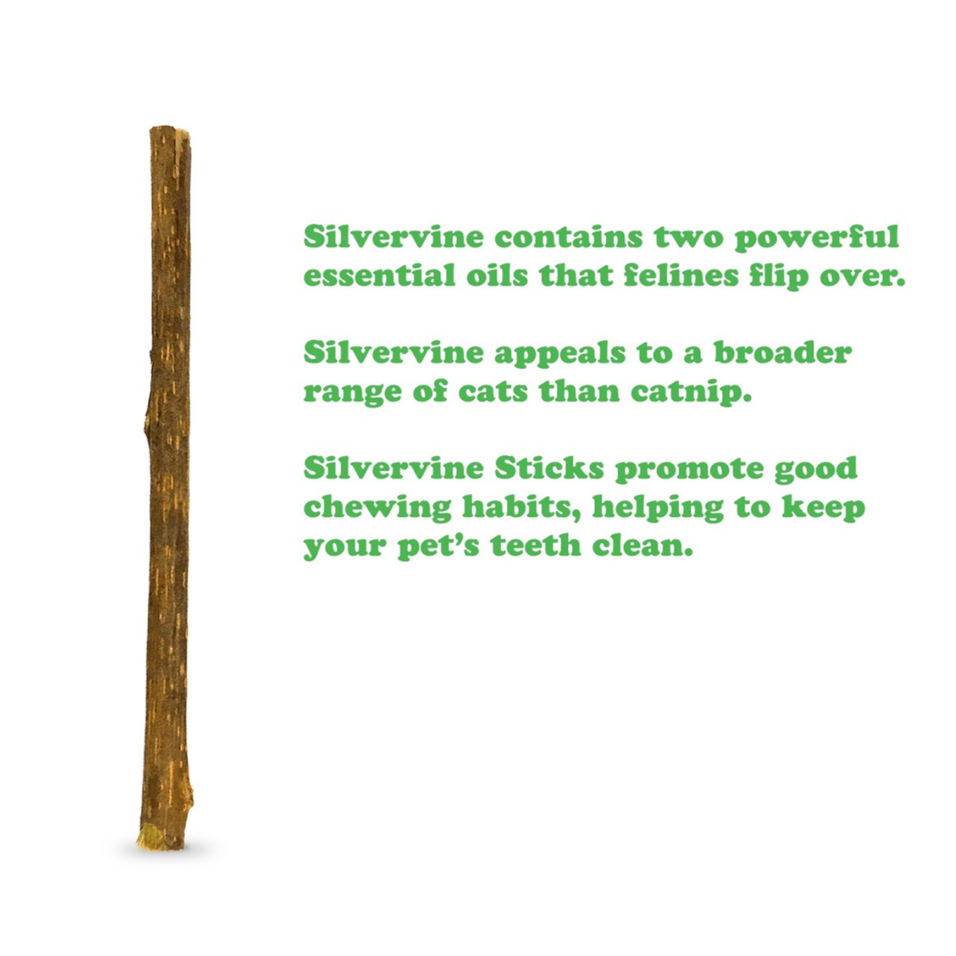Meowijuana | Silvervine Sticks