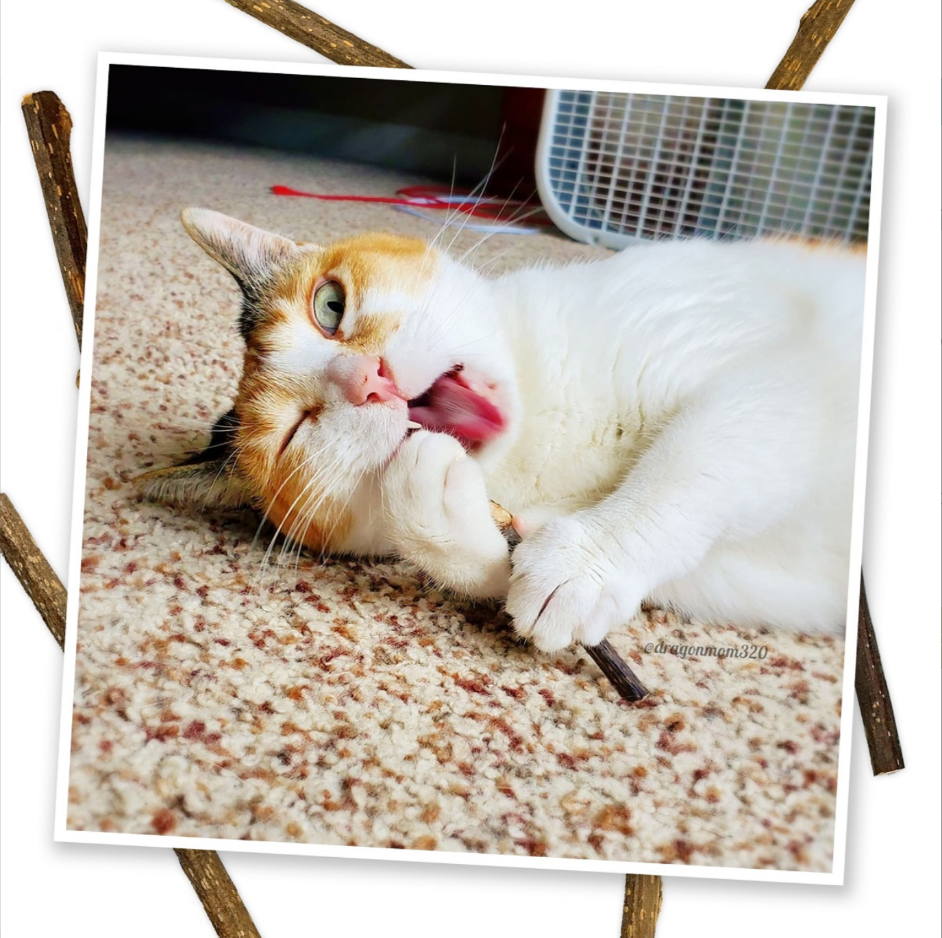Meowijuana | Silvervine Sticks