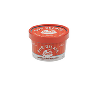 Swell | Sweet Potato Gelato