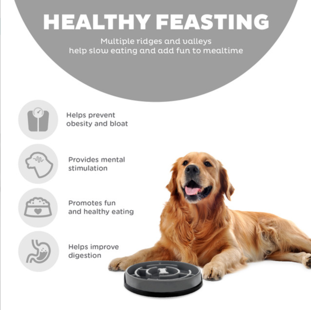 Outward Hound | Fun Feeder | Large Gray
