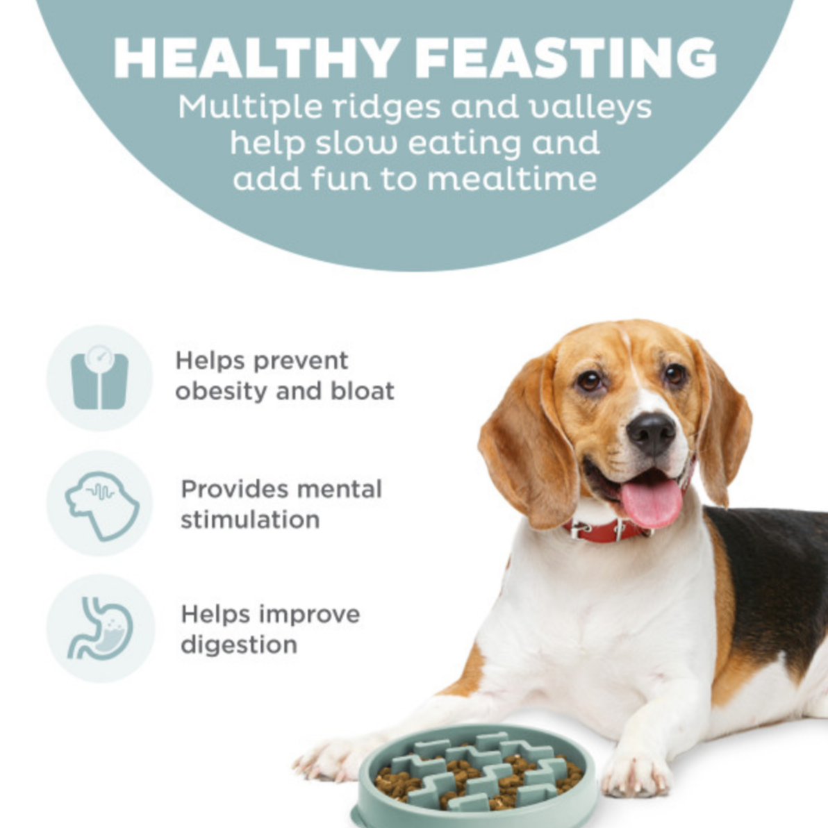 Outward Hound | Fun Feeder | Sage Notch