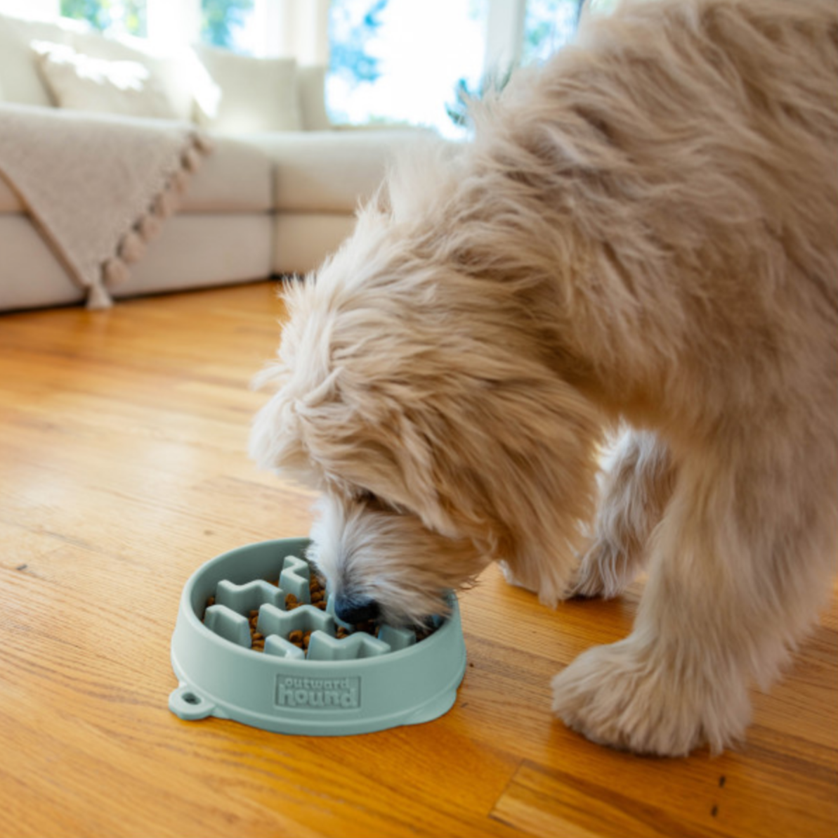 Outward Hound | Fun Feeder | Sage Notch