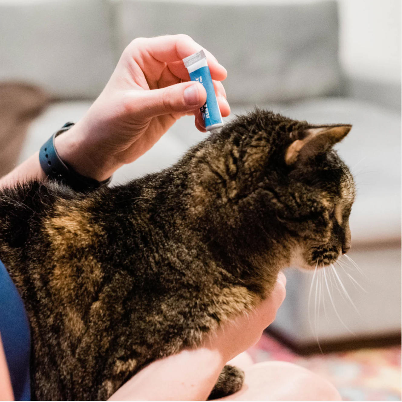 Wondercide | Flea & Tick Spot On