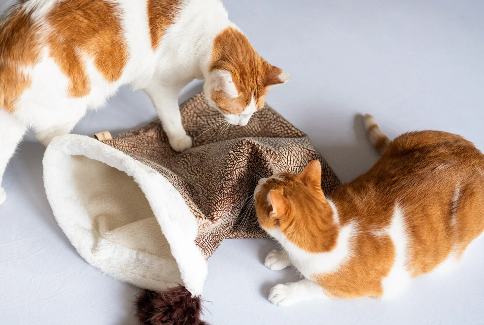 P.L.A.Y. | Cat Crinkle Sack