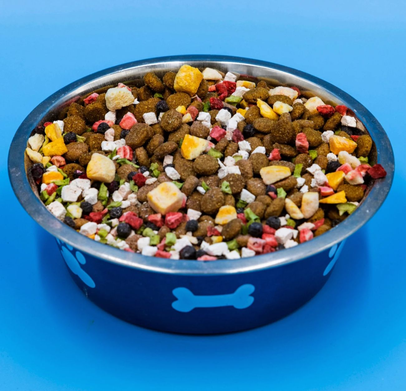 Blue bowl filled with colorful dog food on a blue background