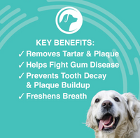 Nootie | Antimicrobial Dental Pads