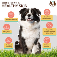 Natural Dog Co. | Supplement | Skin & Coat