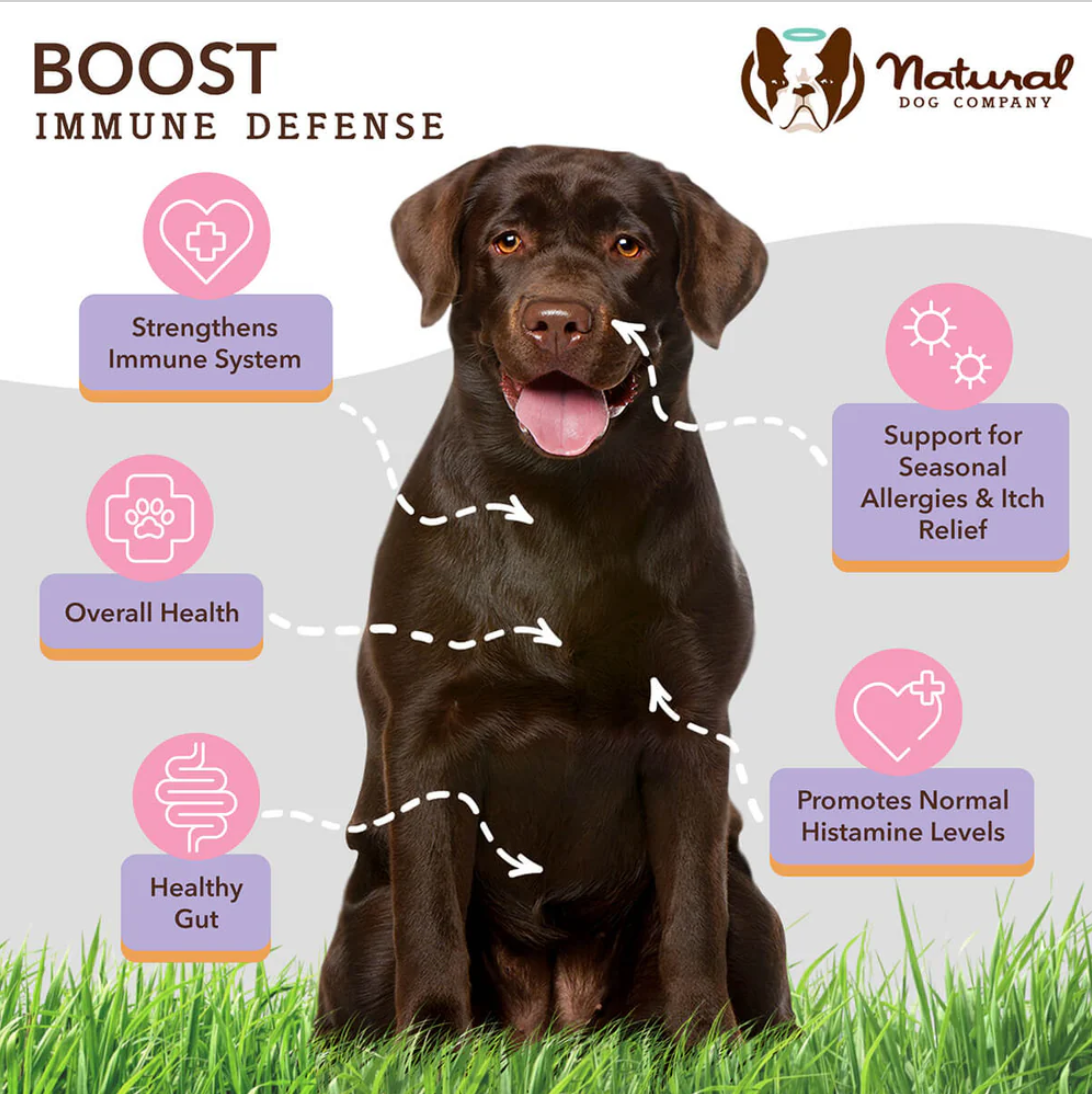 Natural Dog Co | Supplement | Aller-Immune